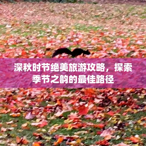 深秋時(shí)節(jié)絕美旅游攻略，探索季節(jié)之韻的最佳路徑
