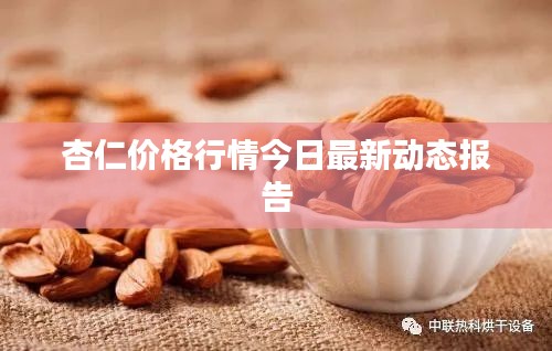 杏仁價格行情今日最新動態(tài)報告