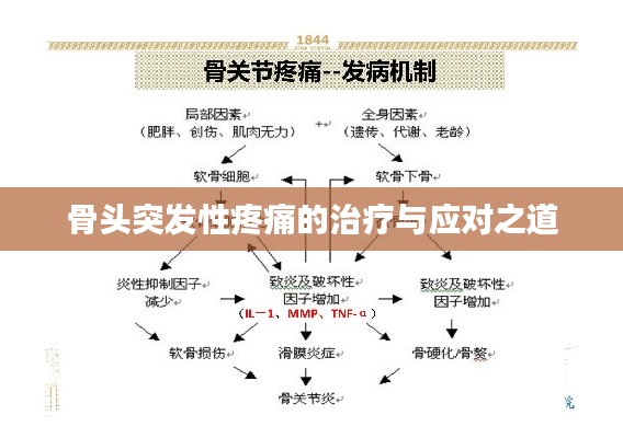 骨頭突發(fā)性疼痛的治療與應對之道