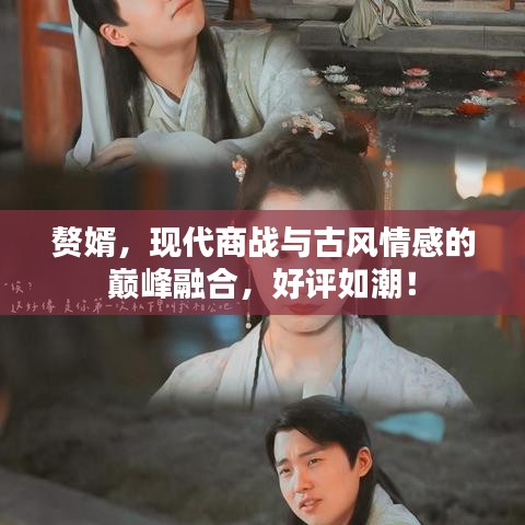 贅婿，現(xiàn)代商戰(zhàn)與古風(fēng)情感的巔峰融合，好評如潮！