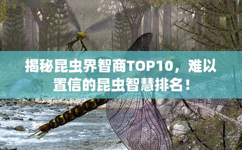 揭秘昆蟲(chóng)界智商TOP10，難以置信的昆蟲(chóng)智慧排名！