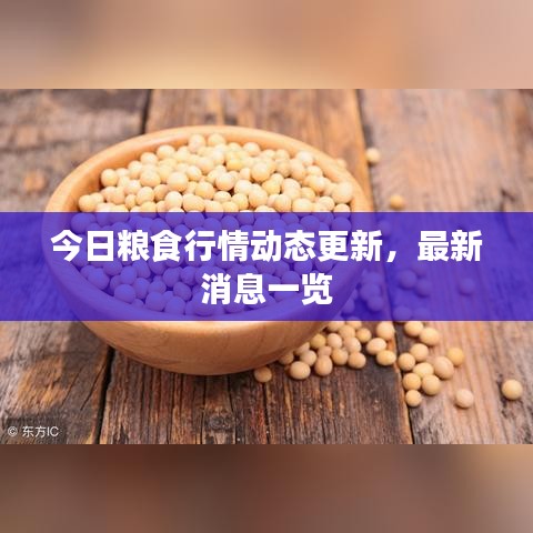 今日糧食行情動(dòng)態(tài)更新，最新消息一覽