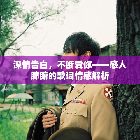 深情告白，不斷愛(ài)你——感人肺腑的歌詞情感解析